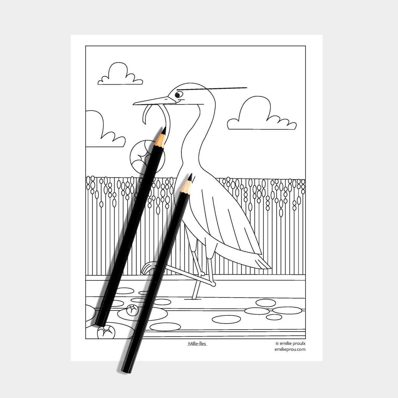 Coloriage Grand Héron